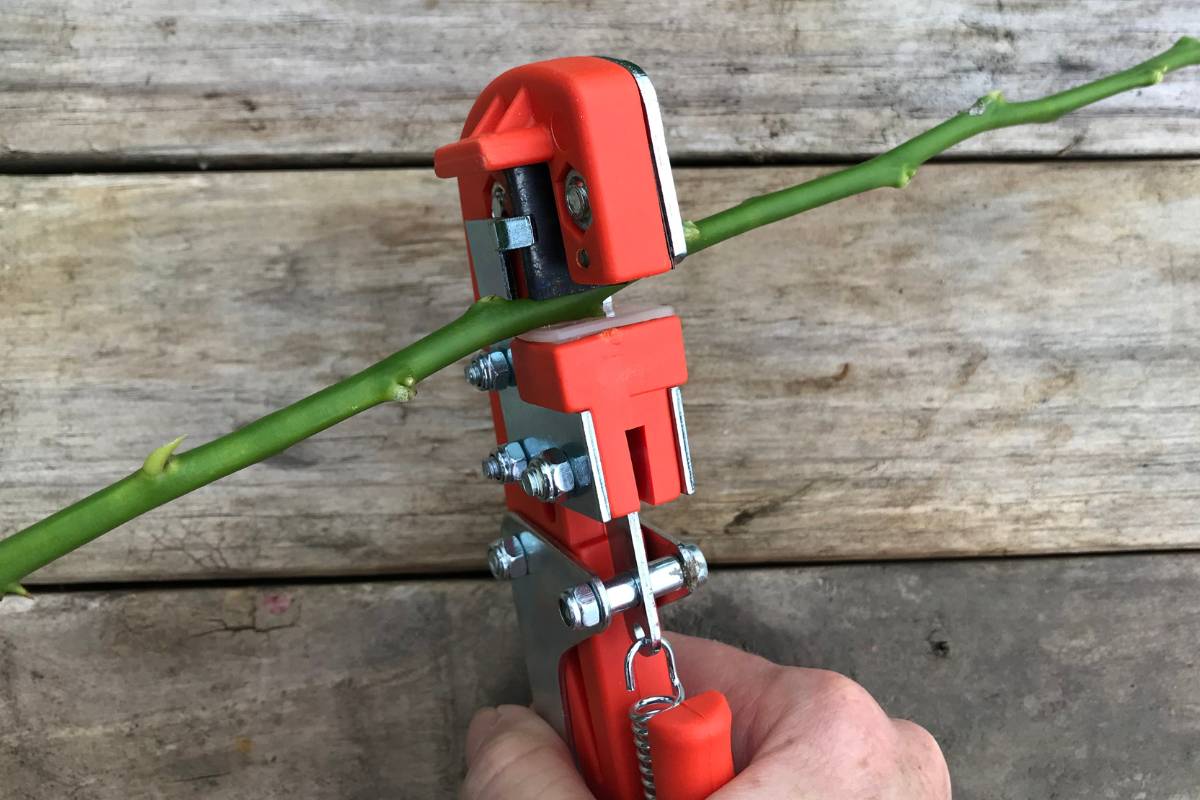 Grafting Made Easy Hand Held Grafting Tools The Seed Collection